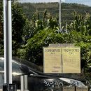 수니컴퍼니 | 대전 도안동 카페_ 투드커피컴퍼니