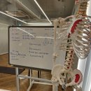 요가3.(저녁반) 이미지