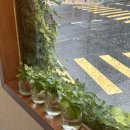 준희네 미장원