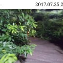 원당산공원 이미지