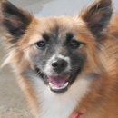 율하우리동물약국 이미지