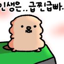관저중로-6 네이버블로그