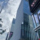 강남치과의원 | 신사역 치과 신경치료 + 치아미백 후기 레브치과의원 강남점 🦷🤍✨