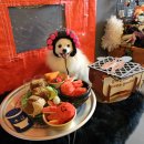 멍스 크로스 이미지