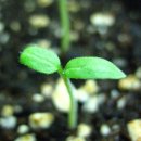 우리한의원 이미지