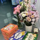 역삼오늘약국 이미지