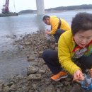 토종돼지농장 이미지