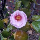 머문화이트 이미지