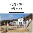 비행기나무 | [인천/강화] '비행기나무' 온수 스파와 잔디 마당이 있는 독채펜션