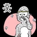 뉴욕라츠오베이글스 이미지