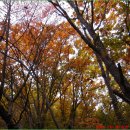 광덕1리 마을회관 이미지