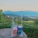 노고마주 이미지