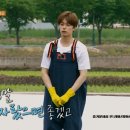 개미&베짱이인력