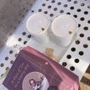 나우목장 | 제주2주살기)) 6일차-1) 성이시돌목장&amp;우유부단카페