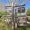 소요생활체육공원 게이트볼장 | 남파랑길 28~29코스 [통영 용남생활체육공원 ~ 남망산조각공원 ~ 충렬사] (25-11-16)