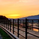 강진도깨비농장 이미지