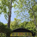 금강원예종묘