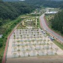 청주시 미래지농촌테마공원 오토캠핑장 이미지