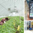 억대축산 이미지