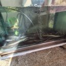 오구삼구민물장어아구찜 이미지