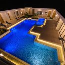 코코트리 이미지