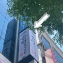 분당서현1-D-5 | 서현역 맛집 은성한우곱창 서현본점 다녀온 후기, 분당 곱창