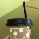 가니니(GANINI)