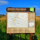 대평동_금강변길 이미지