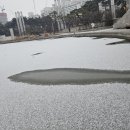 세형