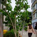 시민시장입구 이미지