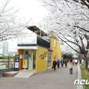 겸재작은도서관 산책로 이미지