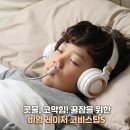 코비스탑S 비염치료기 식약처허가 레이저조사기로 콧물 코막힘 재채기 코가려움 완화하기