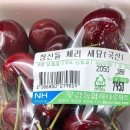 (주) 서틴스플로어 | 250927 인천문학경기장 뮤즈 콘서트 후기 (feat. 플로어 스탠딩 B구역 시야, 카카오셔틀)