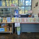 고개농장 | 제주 이색 체험 바나나 체험 &amp; 동물팡 열대과일농장 유진팡 방문 후기