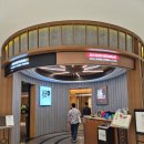 수영삼춘 | 아이들과 제주도 2박3일 여행 1일차｜신화월드 메리어트 숙소 제주선 수영장 이용 후기