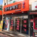 장수갈매기 이미지