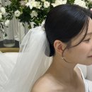 여의도웨딩컨벤션(KT사옥) 6월본식 후기 (드레스,메이크업)