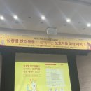 도그레잇 이미지