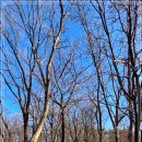 왕림2리 이미지