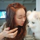 만두스투디오