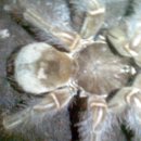 마들역(7호선) 이미지