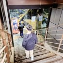 가상증강현실체험장 | 아이와 주말나들이 : 증평 실내 가볼만한곳 : 증평투어패스 : 좌구산 가상증강현실체험과 족욕체험