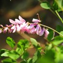 장길수농장 이미지