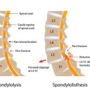 공덕인과한의원 이미지