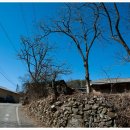 다대농장 이미지