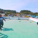 골든 태양광발전소 이미지