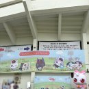 홈런세탁소 | SSG랜더스 vs LG트윈스 잠실야구장 3루 네이비석 331구역 책없쾌 직관 후기