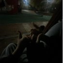 GR(양평군)-[마유산로]-하-7 | The NorthFace