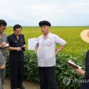 미곡농장 이미지