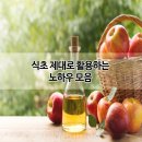 ★식초 제대로 활용하는 노하우 모음★ 이미지